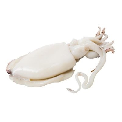Cuttlefish Cleaned