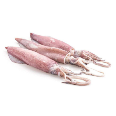 Squid Whole