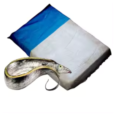 Tachiou